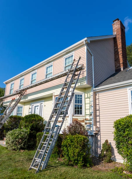 Best Carpet Removal and Disposal  in Elk Rapids, MI